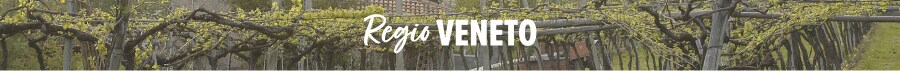 Regio Veneto